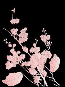 黑樱桃树花
