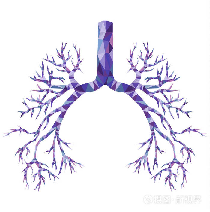 人类的低聚支气管与气管, 隆突紫色和蓝色