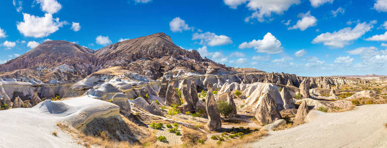 中的火山岩层景观