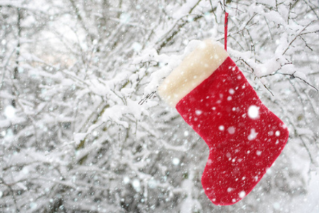 圣诞节袜子挂在树上覆盖着雪