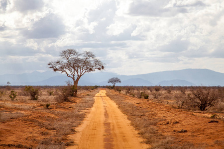 树木的道路, 肯尼亚的风景, 与丘陵的远