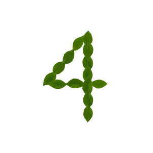 数字4由绿色叶子隔绝在白色背景