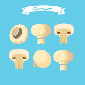 蓝色背景上的 champignons 集