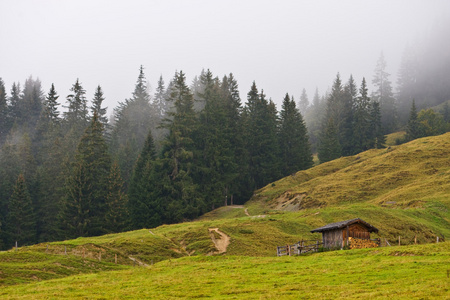 奥地利雾下的风景