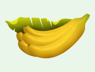 成熟的黄色香蕉水果逼真多汁健康矢量插画素食食谱新鲜热带小吃甜点
