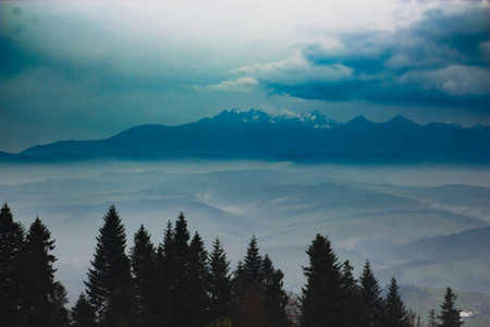 雾和山风景