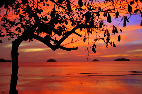 热带五颜六色的日落泰国。