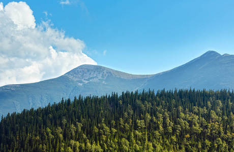 夏季塞武利亚山乌克兰喀尔巴阡山。