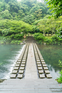 在济州岛天地渊瀑布公园花园图片