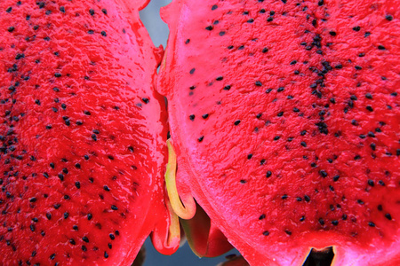 半红色 dragonfruit
