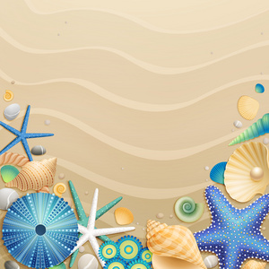 沙背景上的贝壳和海星