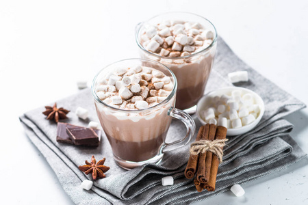 热巧克力或可可和棉花糖