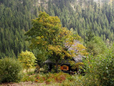 在山地森林小屋房子