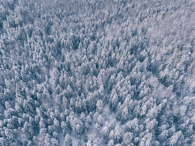冰雪覆盖的冬季森林鸟瞰
