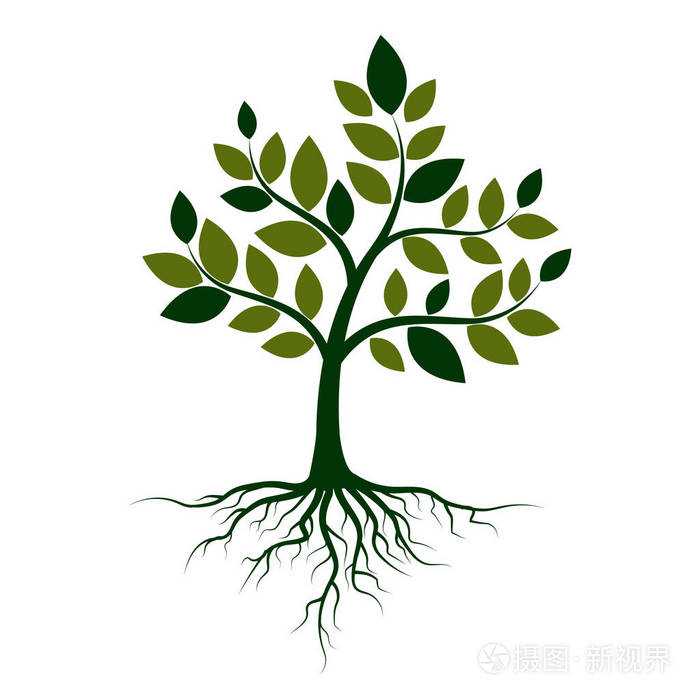 在白色背景上有根的绿色树.矢量插图