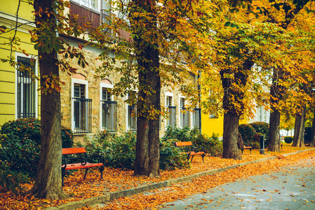 老欧洲城市街道看法在秋天天