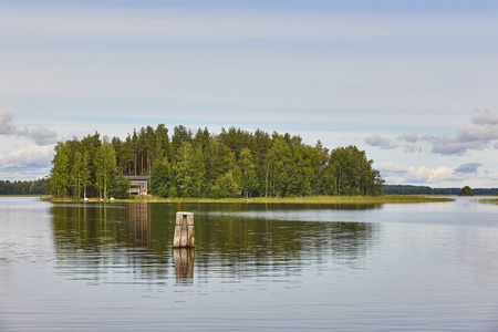 芬兰风景与湖森林海岛和湖。夏天
