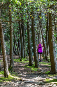 穿越森林的小径上的女徒步旅行者