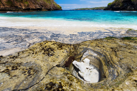 香兰在 Nusa Penida 岛的海滩。印度尼西亚