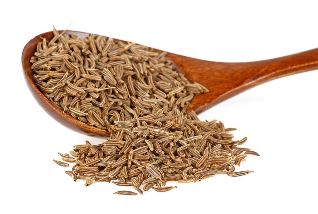 种质资源保护不止于种子（新知）