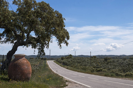 Alentejo 乡村景观