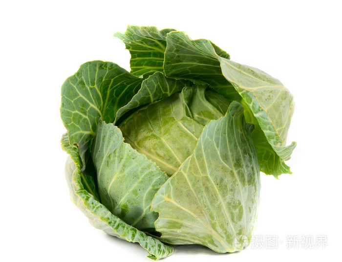 白菜头