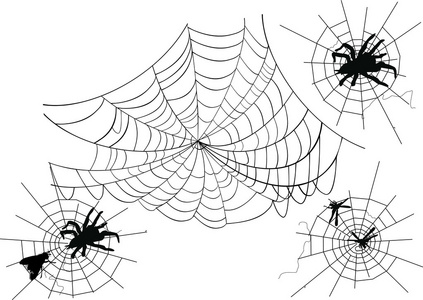 四个蜘蛛网