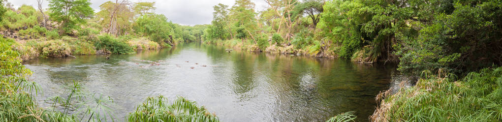 Mzima 泉, 风景肯尼亚