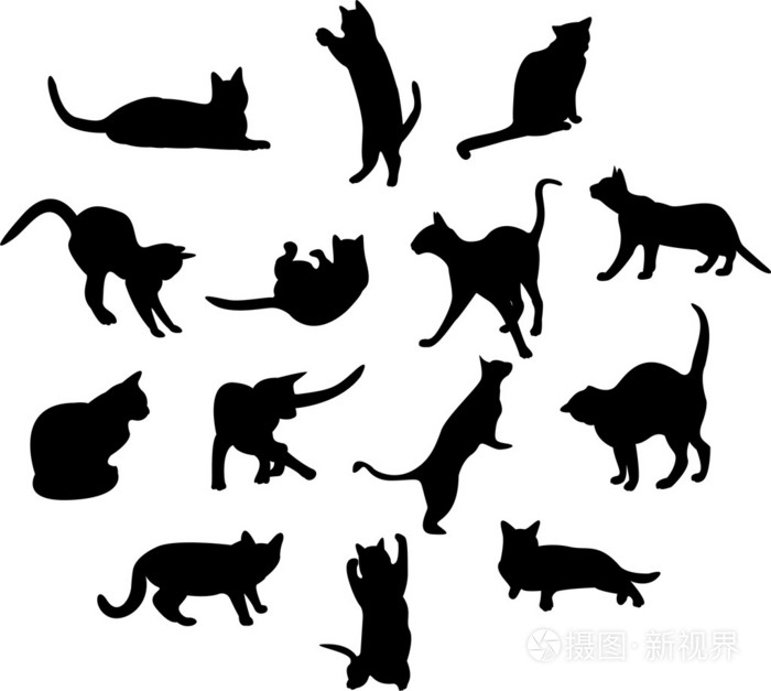 一大群猫的轮廓