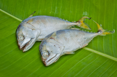 两条煮熟的鲭鱼，绿色的香蕉叶