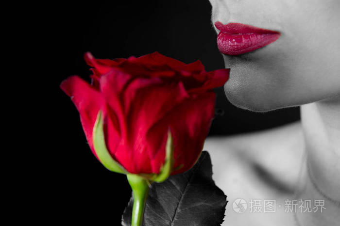 女人或女孩和玫瑰性感的嘴唇情人节的概念时尚美丽浪漫豪华组成完美的