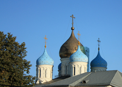 莫斯科Novospassky修道院的圆顶