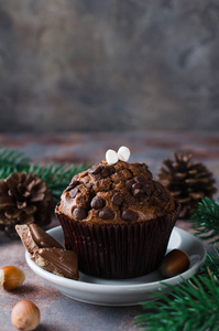 巧克力松饼和树枝杉木。圣诞节时间