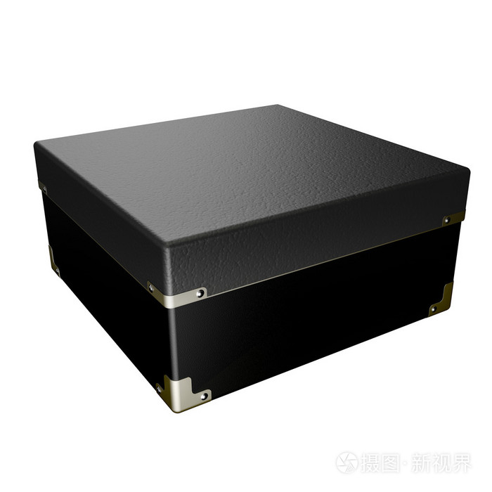 黑盒子(装配在飞机上的电子自动记录仪器)