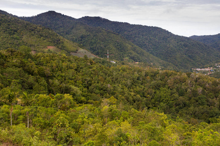 Kundasang, 沙巴, 婆罗洲, 东马来西亚的美丽热带雨林