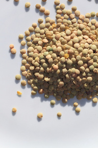 小扁豆 lentil的名词复数  小扁豆植株