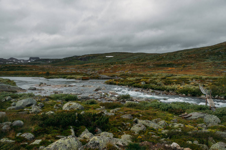 河溪通过石头和山在领域, 挪威, 哈国家公园