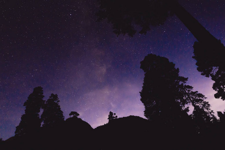 山上有银河和一些树的夜景