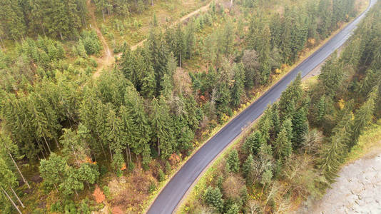 在山中间的道路鸟瞰, 松树生长