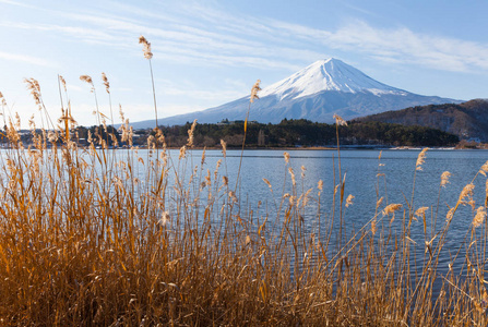 冬天在湖河口湖富士山