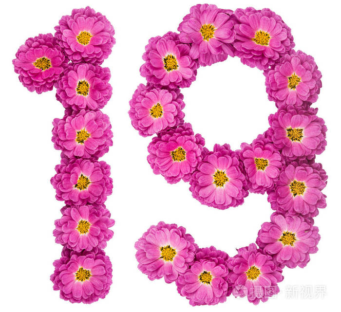 阿拉伯数字19十九从菊花的花孤立