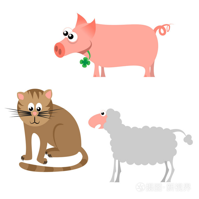 猪猫和床单