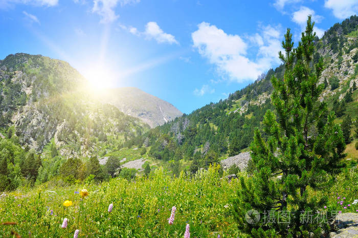 美丽的山风景和太阳