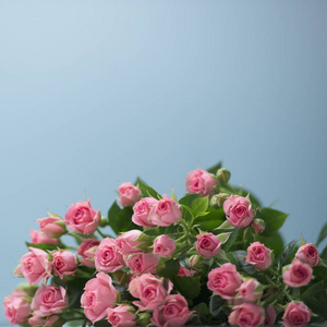 蓝色背景玫瑰花, 粉红色花束