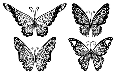蝴蝶 butterfly的名词复数 