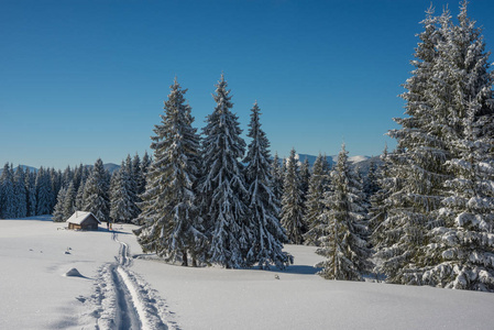 冬季滑雪赛道场景