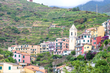 美丽的景色 Manarola 城市在五渔村的山