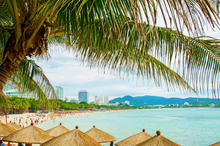 高高的, 美丽的棕榈树挂在海面上, 岸上站着茅草伞, 阳光明媚的天堂。热带