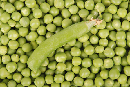 绿豌豆背景纹理蔬菜
