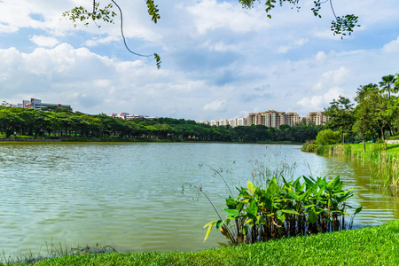 美丽的湖景榜公园在新加坡与蓝天